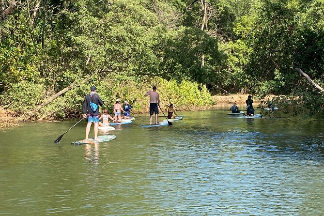 3 Best Canoe And Kayak Experiences In Guanacaste and Northwest