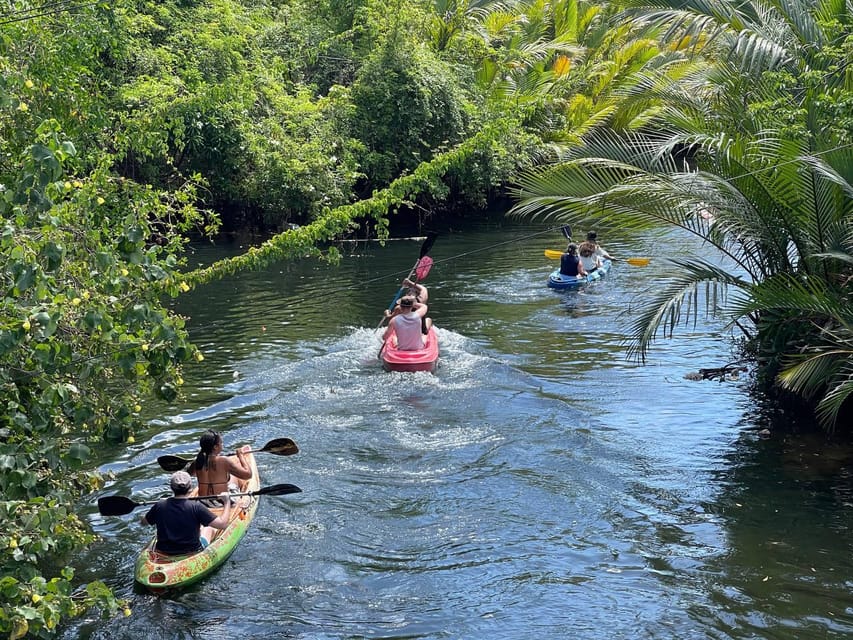 Kayaking Tour Around Green Cathedral