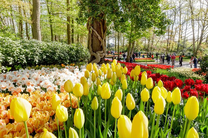 Keukenhof, Flower Fields, Volendam and Zaanse Schans Small-Group Tour