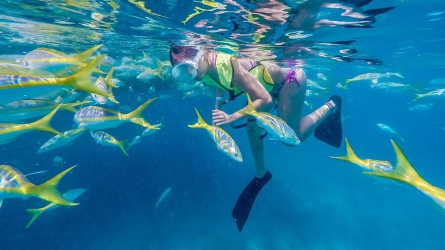 Key West: Afternoon Reef Snorkel Tour With Open Bar