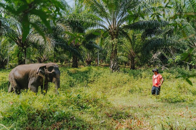 Khaolak Elephant Sanctuary, Cooking Class and Waterfall Tour - Pricing, Availability, and Policies