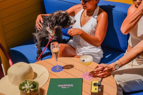 Kimpton Margot Sydney, an IHG Hotel - Hotel Overview