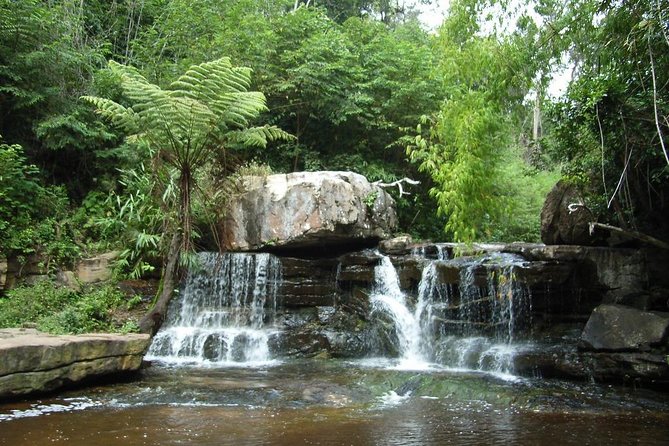 Kirirom National Park Private Day Tour From Phnom Penh