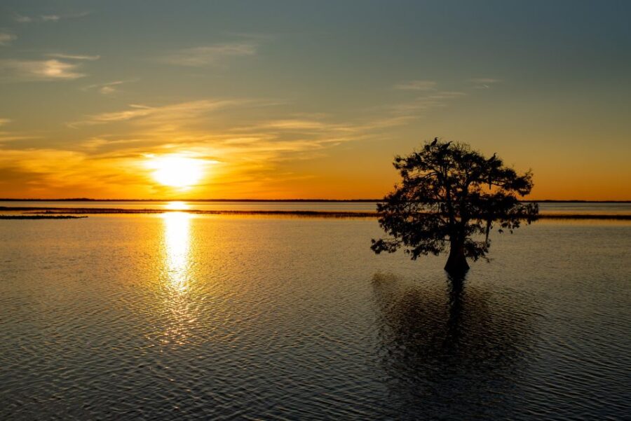 3 Best Tours In Kissimmee