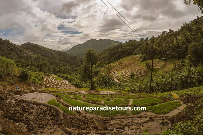 Knuckles Spice Trail Trek From Kandy - Trek Duration and Distance