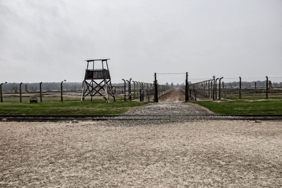 Kraków: Auschwitz-Birkenau and Wieliczka Salt Mine Day Trip - Tour Overview
