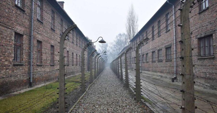 Krakow: Auschwitz-Birkenau Day Trip With Tour Leader