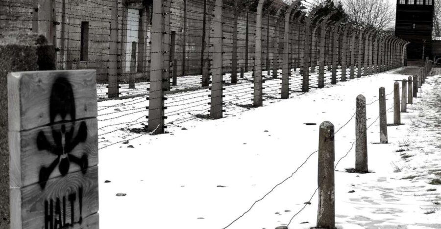 2 Best Private Car With Driver Services in Memorial and Museum Auschwitz Birkenau