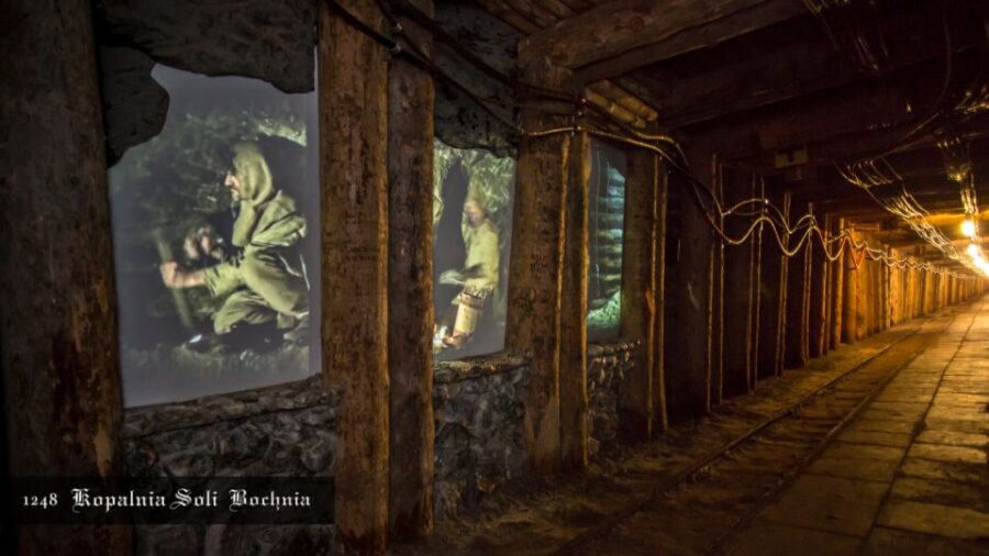 Kraków: Bochnia Royal Salt Mine Private Tour - Tour Overview and Pricing