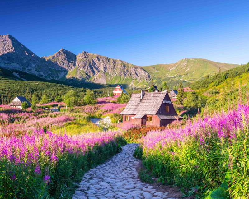 Krakow: Krakow Airport to Zakopane Private Transfer - Transfer Details