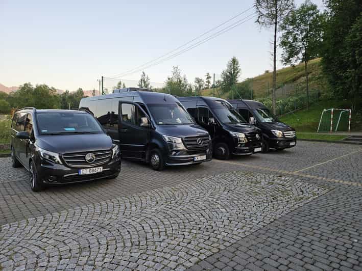 Kraków: Private Transport to the Auschwitz-Birkenau Museum - Overview of the Service