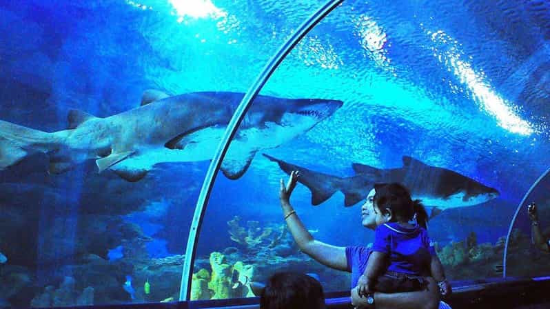 Kuala Lumpur: Aquaria KLCC Entry Ticket