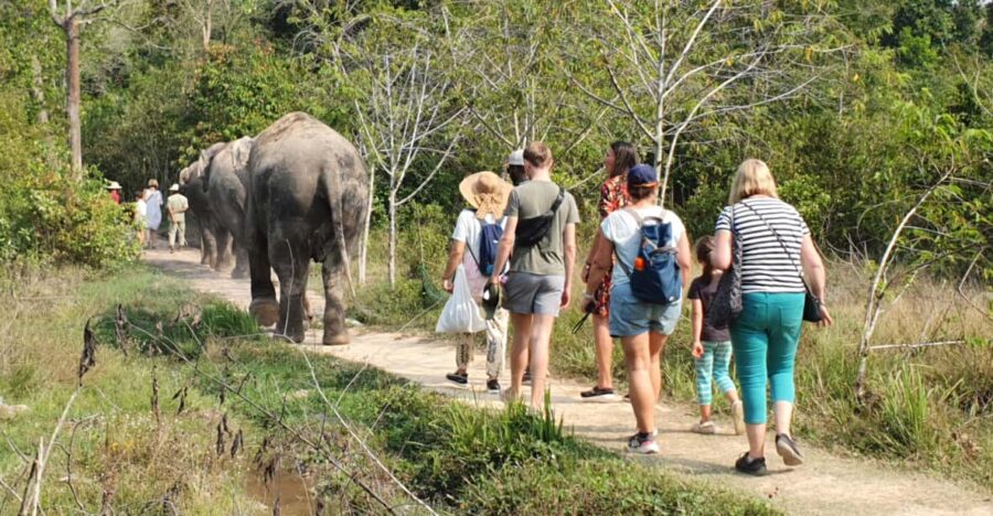 Kulen Elephant Forest and Tonle Sap Lake by Private Tour - Tour Overview