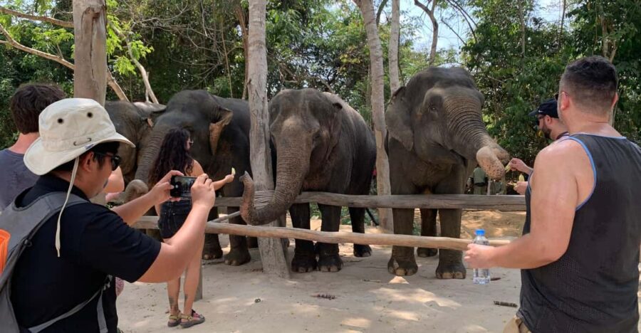 Kulen Elephant Forest & Tonlesap Lake Include Boat /Transfer