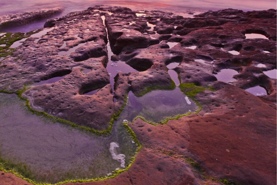 La Jolla: Self-Guided Walking Audio Tour - Tour Overview