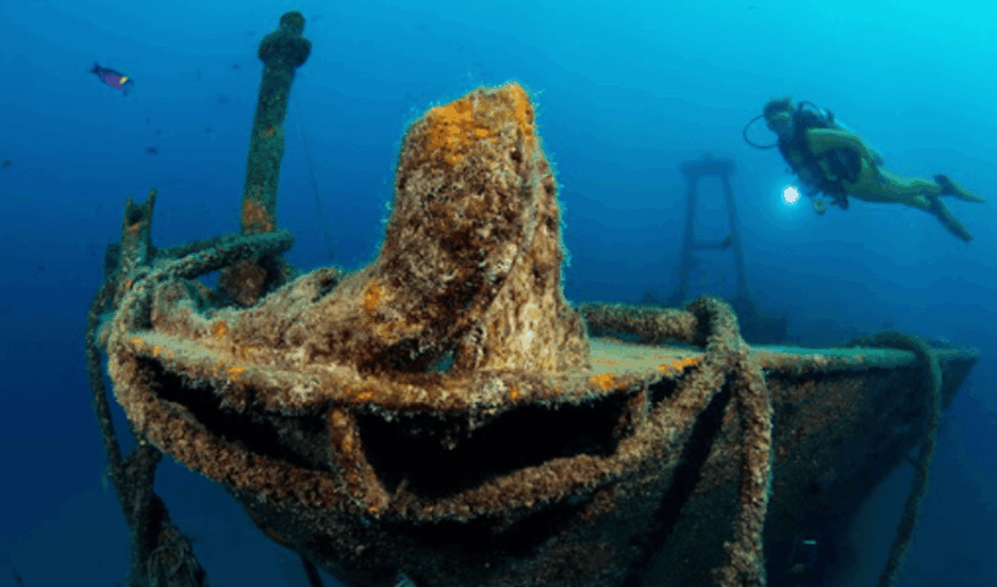 La Paz: Fang Ming Wreck Dive