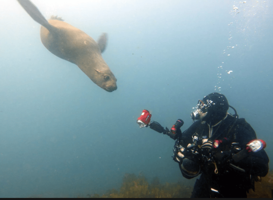La Paz: San Rafaelito Dive Site