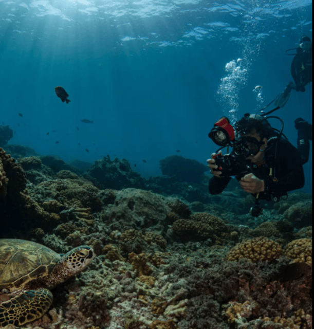 La Paz: Scuba Diving - La Reyna Dive Site