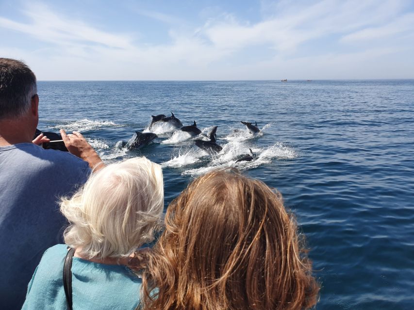 Lagos: Dolphin Watching Catamaran Cruise - Overview and Pricing