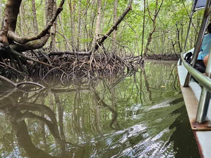 2 Best Canoe And Kayak Experiences In Kuah