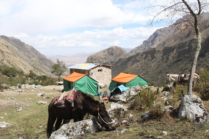 Lares Trek to Machu Picchu (4 Days/3 Nights)