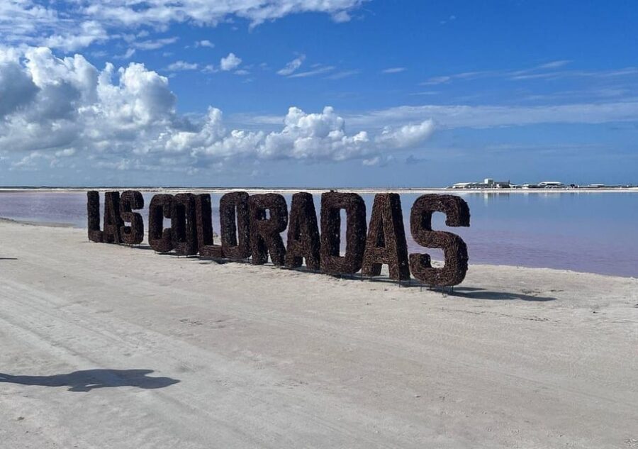 Las Coloradas: Guided Visit, Río Lagartos Boat Tour & Lunch