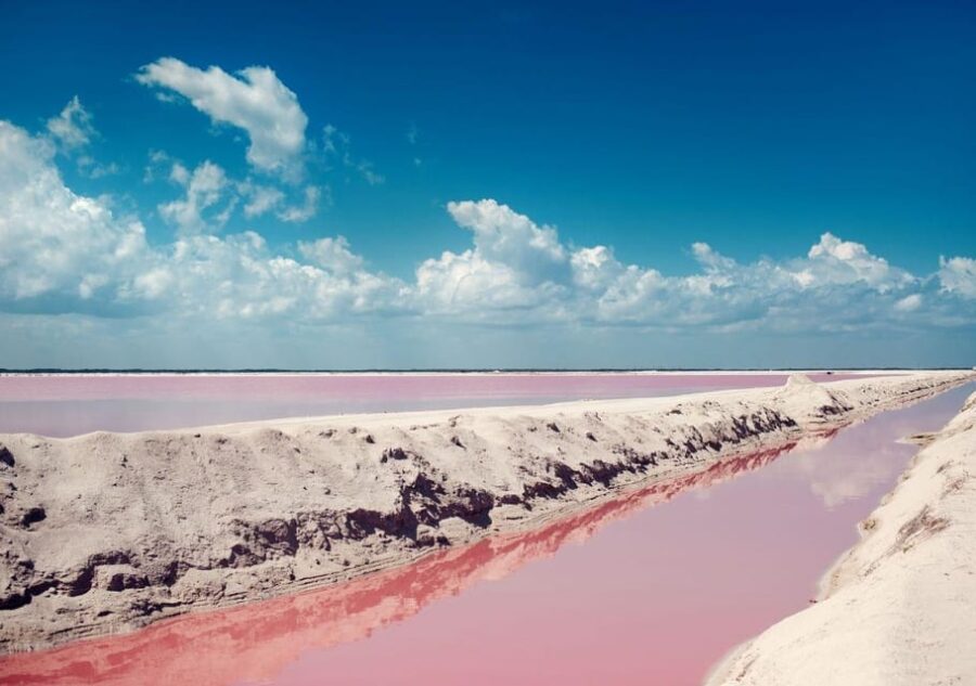 Las Coloradas: Pink Lake Tour and Boat Ride in Rio Lagartos