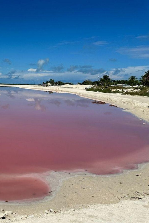 4 Best Cruises And Boat Tours In Las Coloradas