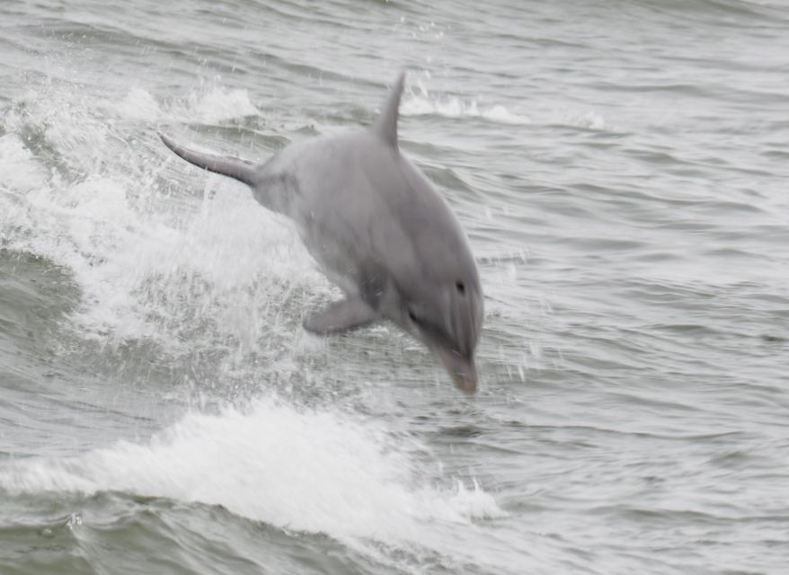 4 Best Fishing Tours In Cape May