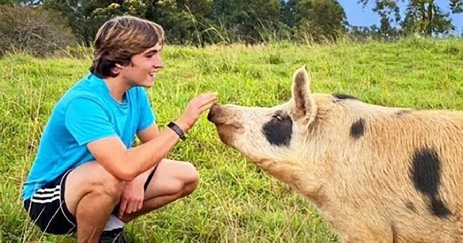 Laupahoehoe: Farm Animal Sanctuary Private Tour