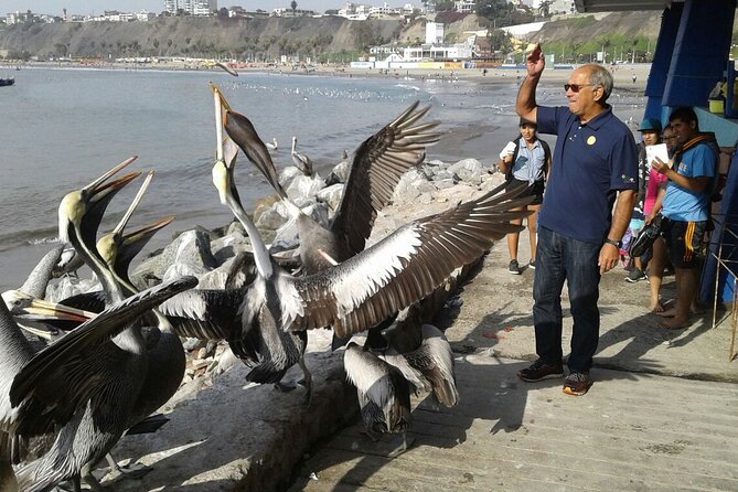 Lima South With Dancing Horse Show Option - Discovering Chorrillos Bay