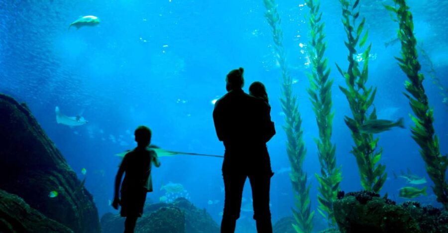 Lisbon: 48-Hour Hop-On-Hop-Off Bus Tour and Oceanarium Entry
