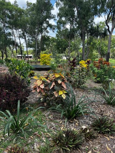 Litchfield Tropical Stay - Property Overview
