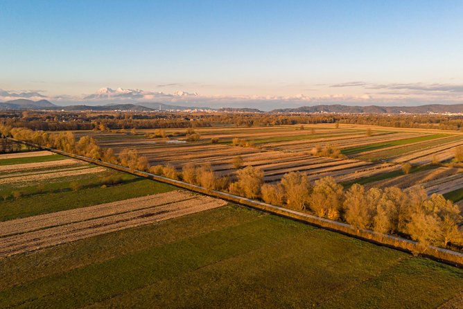 Ljubljanas Marshes Cycling Tour