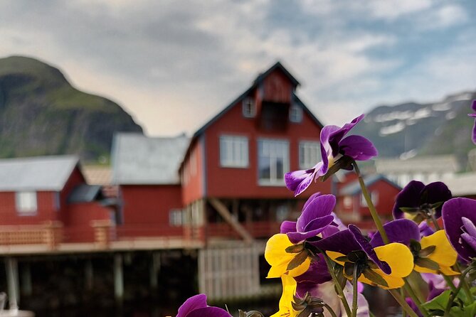 Lofoten VIP PRIVATE Tour From Leknes City / Port - Tour Overview
