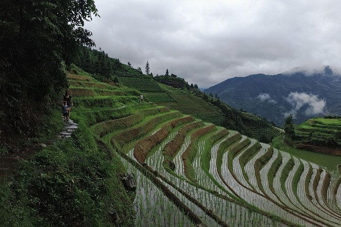 Longji Rice Terraces and Ping'an Private Self-Guided Tour - Guilin