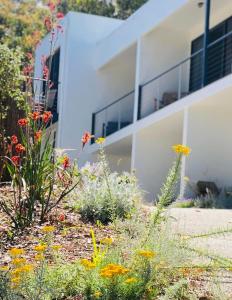 Lorne Surf Apartments - Property Overview