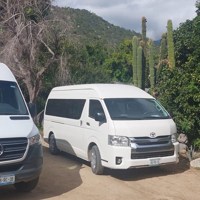 Los Cabos: Airport Private Transfer to Cabo San Lucas - Pricing and Reservation