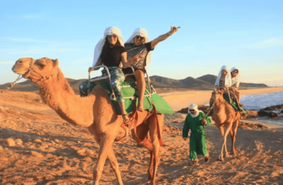 Los Cabos: Desert Camel Riding Experience