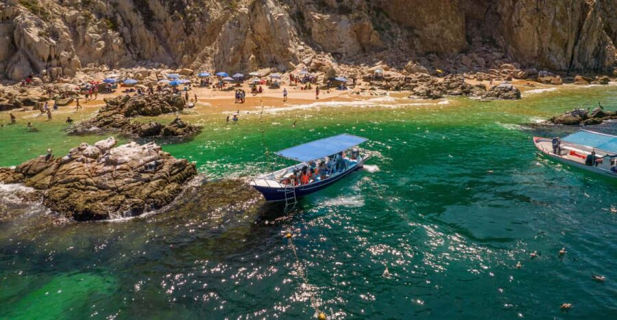 Los Cabos: Snorkel and Marine Life - Activity Overview