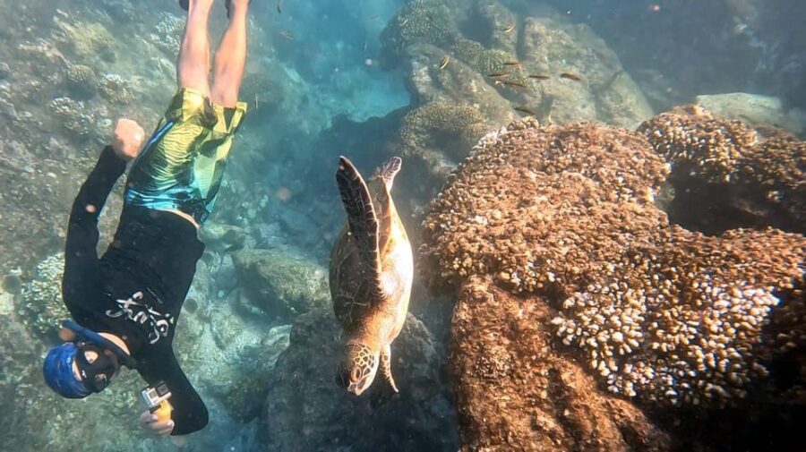 Los Cabos: Snorkel & Beach Day at Chileno + Transportation