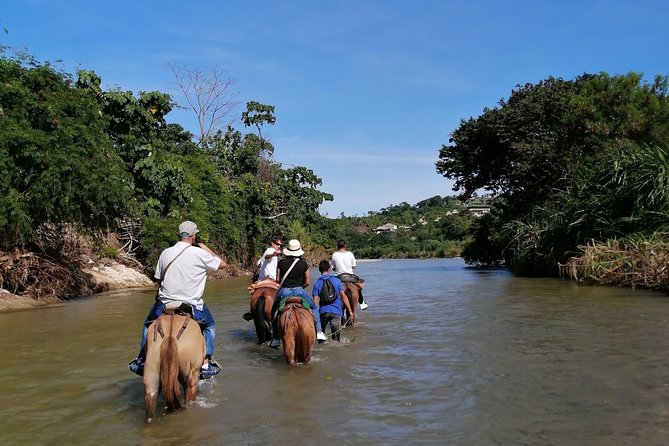 Los Naranjos Beach Horseback Riding Tayrona Park.