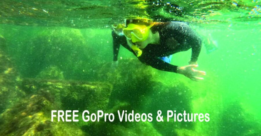 Lower Grand Lagoon: Panama City Beach Guided Snorkeling Tour - Tour Overview