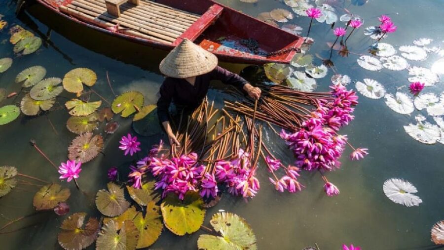 Luxury Ninh Binh Tour: Explore Hoa Lu, Trang An & Hang Mua.