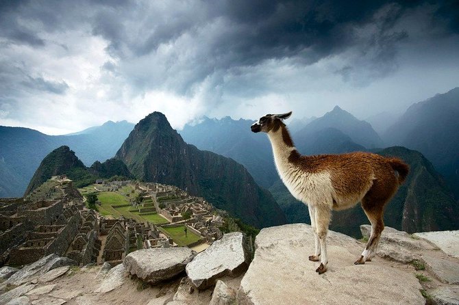 Machu Picchu Official Entrance Ticket