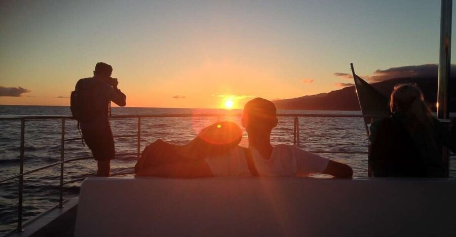 Madeira: Funchal Sunset Tour by Catamaran