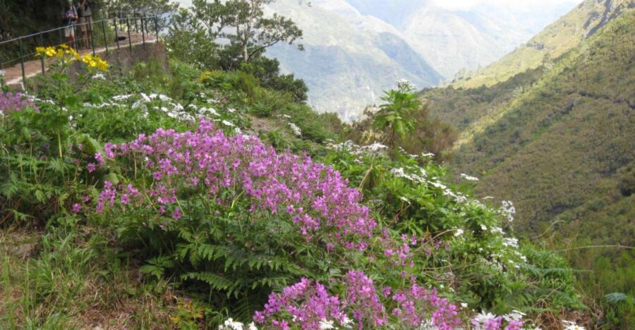 Madeira: Guided Full-Day Rabaçal Walk