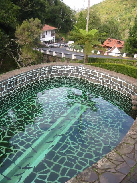 Madeira: Ribeiro Frio to Portela 4-Hour Guided Walk