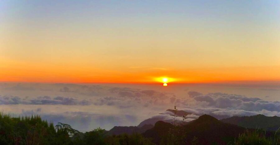 Madeira: Shuttle for Sunrise Hike at Pico Do Arieiro - Service Overview