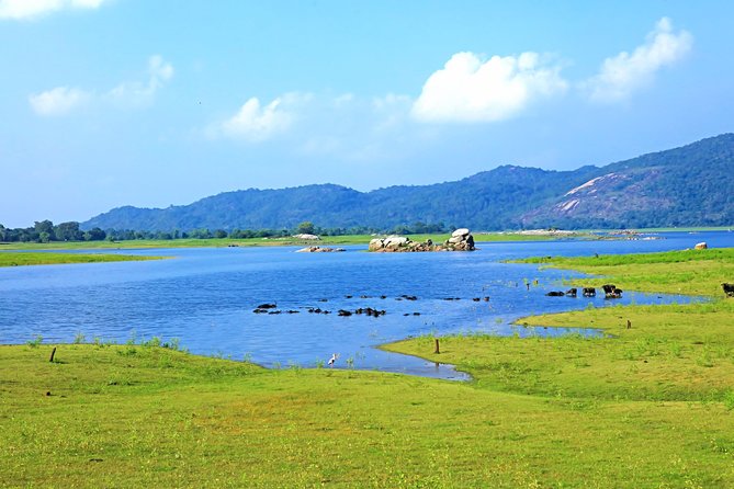 Maduru Oya National Park Private Safari